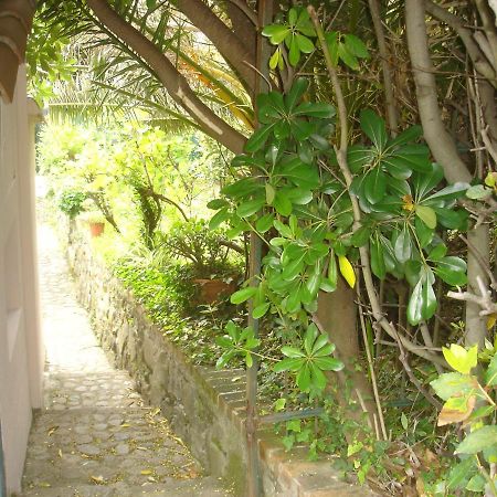 Sunflower Cosy Cottage Once Girasole Monterosso al Mare Exterior foto